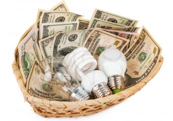 Light bulbs in the basket with money