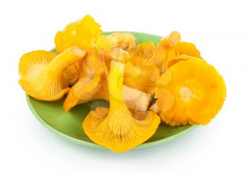 Yellow chanterelles on plate