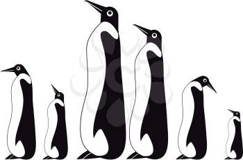penguin silhouettes on the white background