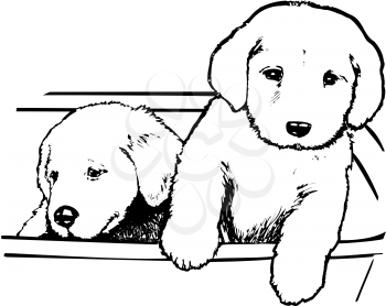 Royalty Free Clipart Image of Puppies