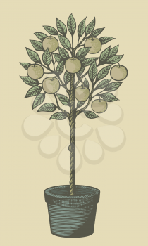 Royalty Free Clipart Image of an Apple Tree in a Pot