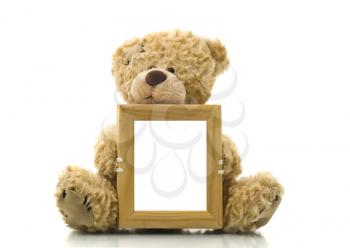 Cute bear holding empty frame for picture or photo over white