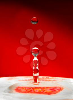 Falling drops of water over red. Extreme close-up