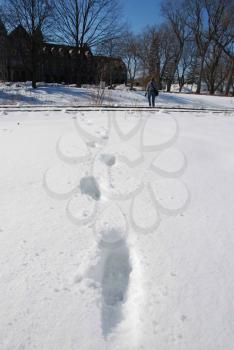 Royalty Free Photo of Footprints in the Snow