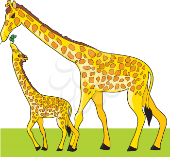 Royalty Free Clipart Image of a Mother Giraffe and Baby