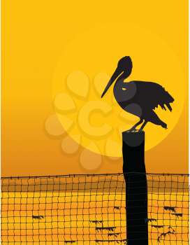 Royalty Free Clipart Image of a Pelican Silhouette