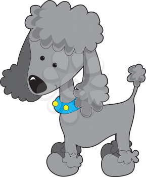 Royalty Free Clipart Image of a Grey Poodle