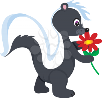 Royalty Free Clipart Image of a Skunk Smelling a Flower