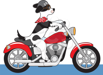 A dog is riding a red motorcycle. His ears, scarf and tail are flying in the wind and his helmut has bone decals.
