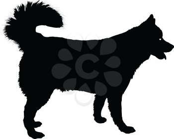 Royalty Free Clipart Image of a Silhouette of a Husky