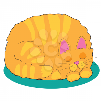 A big fat marmalade cat is asleep on a teal rug