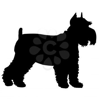 Royalty Free Clipart Image of a Silhouette of a Schnauzer
