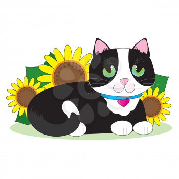 Black and white tuxedo cat lying down in a bed of sunflowers