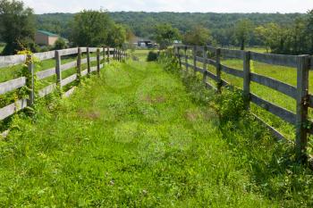 Royalty Free Photo of a Fenced Pasture