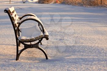 Snow covered park bench at early morning light.