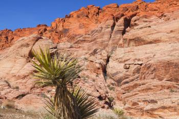 View of dry landscape and red rock formations of the Red Rock Canyon in the Mojave Desert.