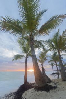 Sunrise  on the tropical Caribbean beach.