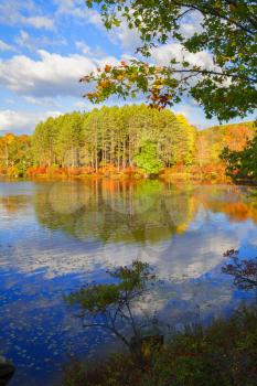 Fall landscape with the forest lake.
