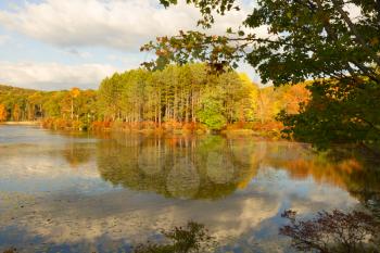 Fall landscape with the forest lake at sunset.