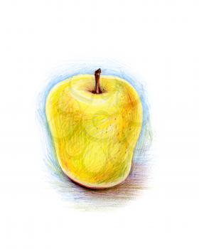 pencil drawing of yellow apple