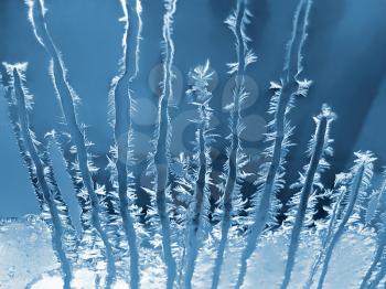 Frosty natural pattern on winter window