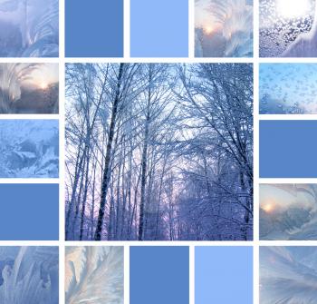 Collage of ice patterns on glass and winter trees