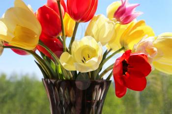 Bouquet of colorful spring tulips in a vase on a background of a window