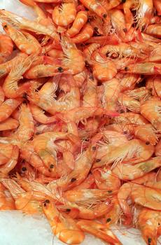 Raw fresh shrimp closeup on the market