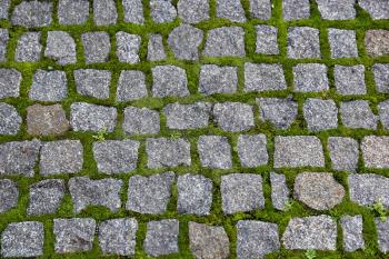 Texture of road paved with stones and sprouted green moss 