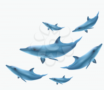 Royalty Free Clipart Image of Dolphins