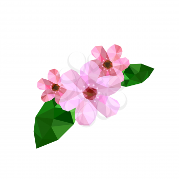 Illustration of beautiful origami cherry blossom isolated on white background