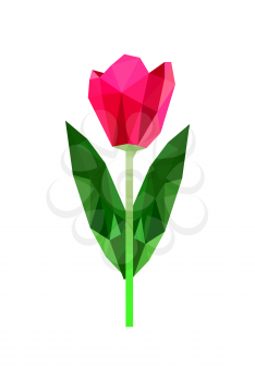 Illustration of pink origami tulip isolated on white background