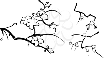 Royalty Free Clipart Image of a Cherry Blossom Branch 