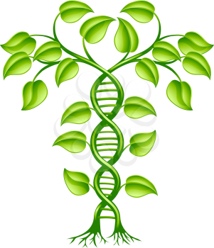Royalty Free Clipart Image of a Plant DNA Concept