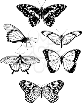 Royalty Free Clipart Image of a Set of Butterflies 