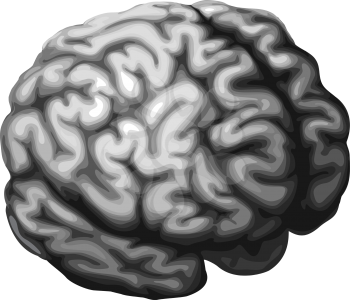 Illustration of a monochrome brain in shades of grey