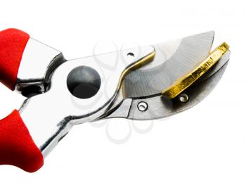 Royalty Free Photo of a Pruning Shears Cutting a Coin