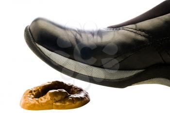 Close-up of a black color shoe on feces isolated over white