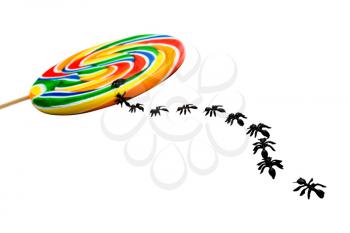 Ants crawling towards a colorful lollipop isolated over white