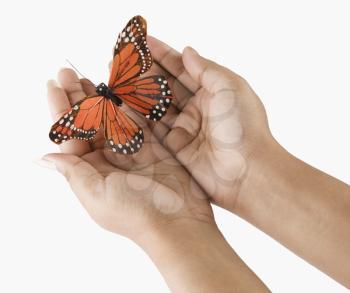 Woman's hands holding a butterfly
