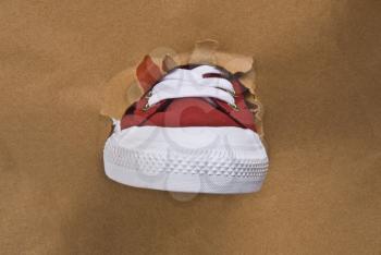 Close-up of a canvas shoe emerging from a torn paper bag