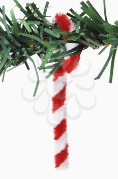 Close-up of a cane hanging on a Christmas tree