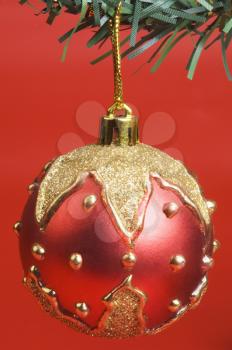 Red bauble hanging on a Christmas tree
