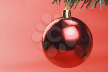 Red bauble hanging on a Christmas tree