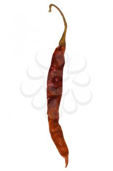 Close-up of a dried red chili pepper
