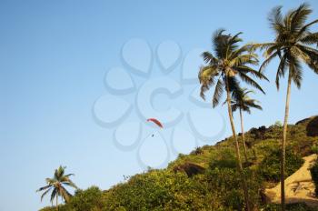 Person paragliding over a hill, Goa, India
