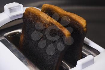 Close-up of burnt toasts in a toaster