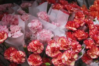 Flowers at a market stall, Republic of Ireland