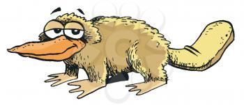 Royalty Free Clipart Image of a Platypus