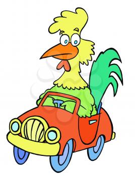 Royalty Free Clipart Image of a Rooster in a Car